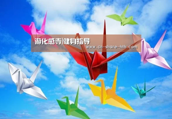 体育数据分析