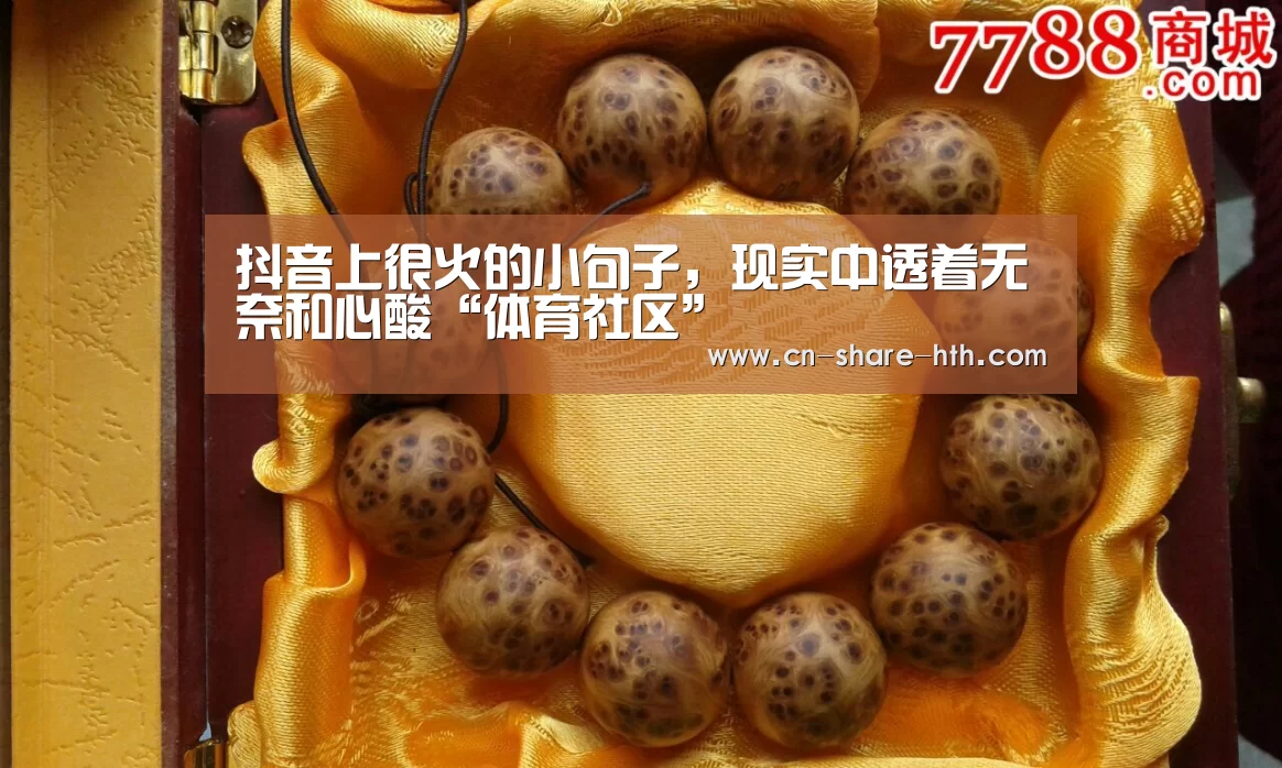 赛事直播